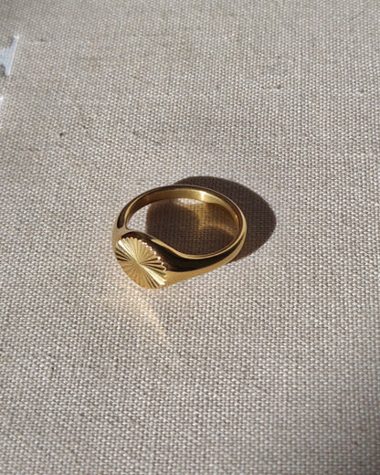 Simple Dome Ring - Fascina Gold